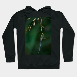 AZURE DAMSEL Hoodie